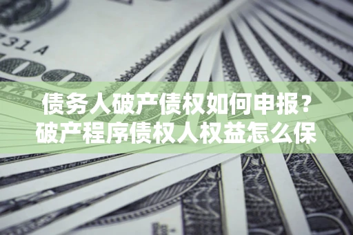 北京债务人破产债权如何申报？破产程序债权人权益怎么保障？