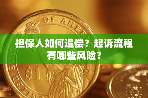 北京担保人如何追偿？起诉流程有哪些风险？