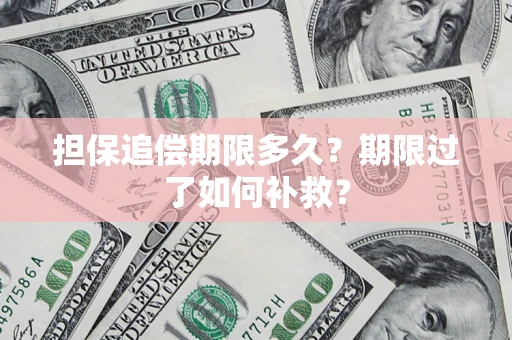 北京担保追偿期限多久？期限过了如何补救？