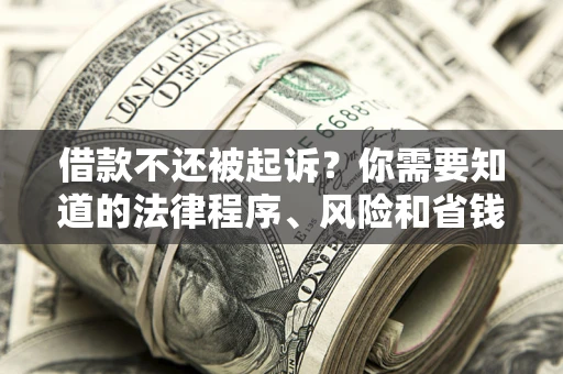 北京借款不还被起诉？你需要知道的法律程序、风险和省钱技巧